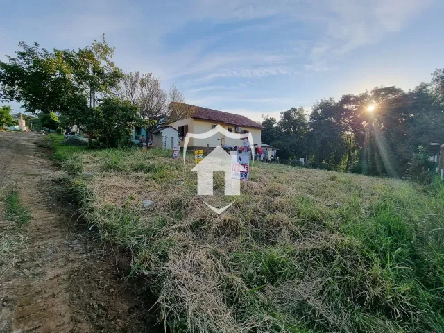 Terreno, foto 3