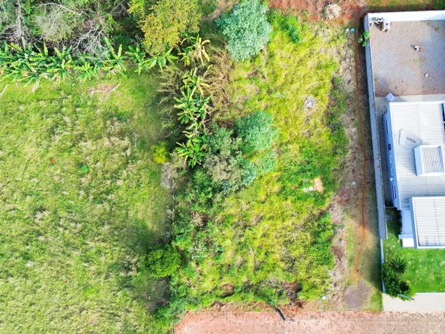 Vista aérea de um terreno com vegetação e uma edificação ao lado.