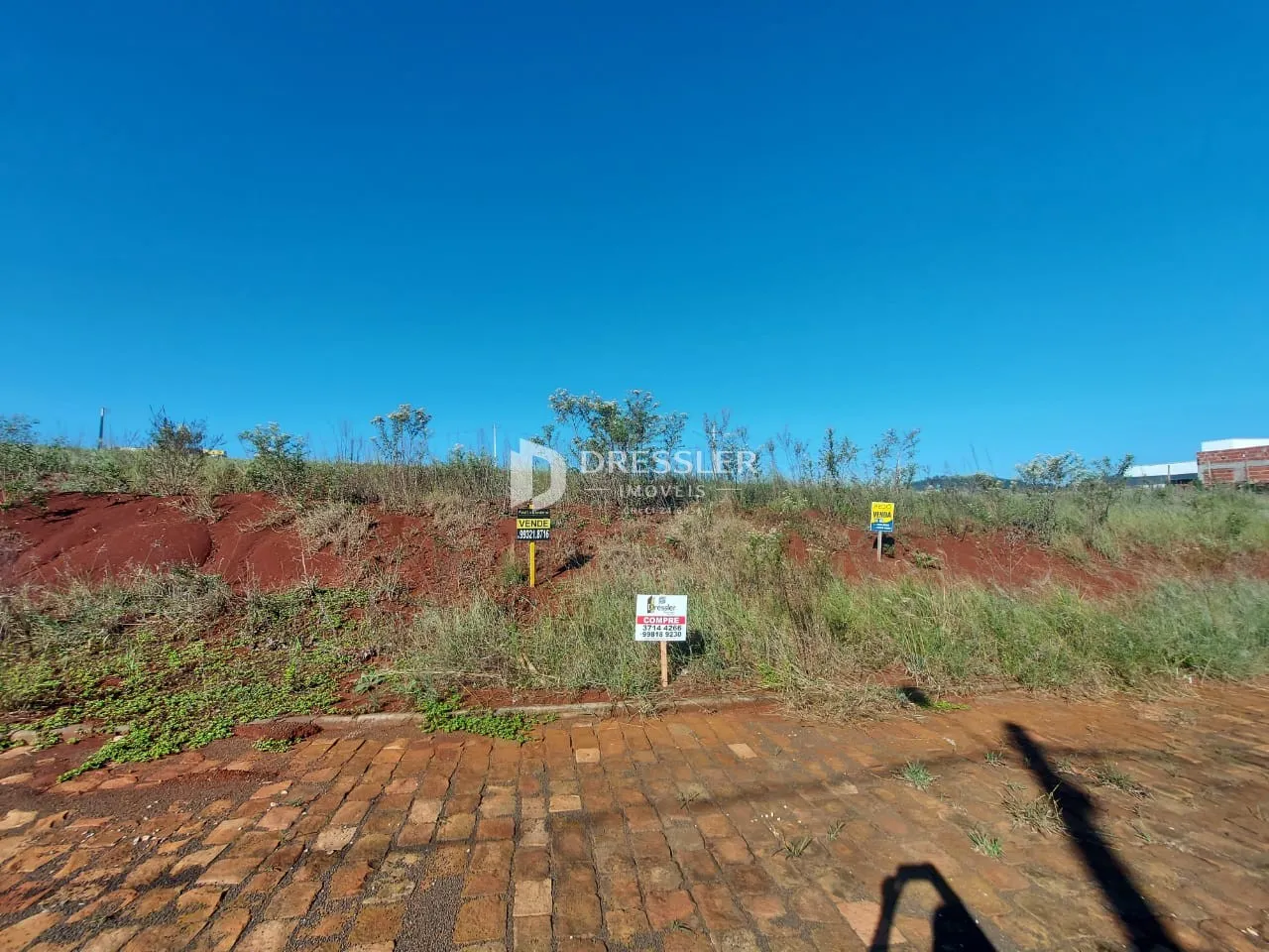 Vista externa de um terreno com vegetação seca e piso de tijolos vermelhos.