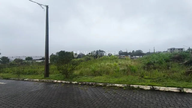 Terreno, foto 4