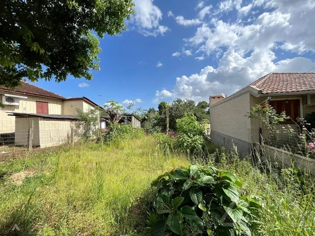 Terreno, foto 3