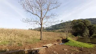 Paisagem de campo seco com uma árvore no centro e um corpo d'água.
