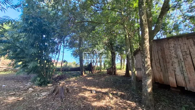 Área rural