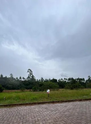Terreno, foto 7