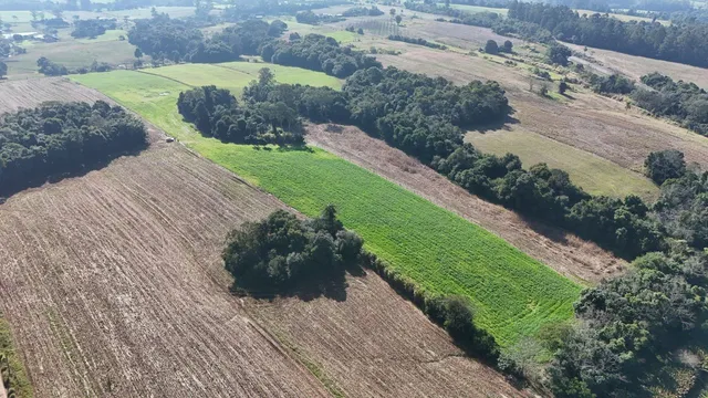 Área rural