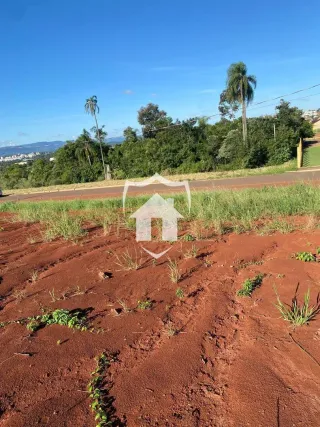 Terreno, foto 5