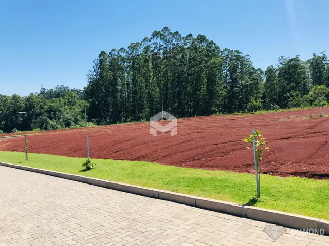 Vista da propriedade mostrando um campo de terra vermelha e vegetação ao fundo.