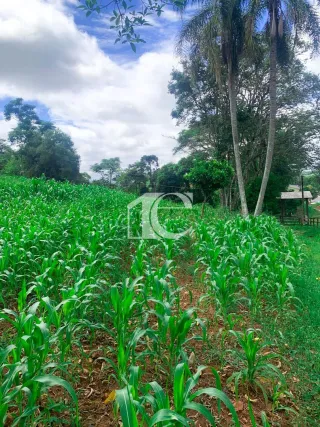 Área rural, foto 13