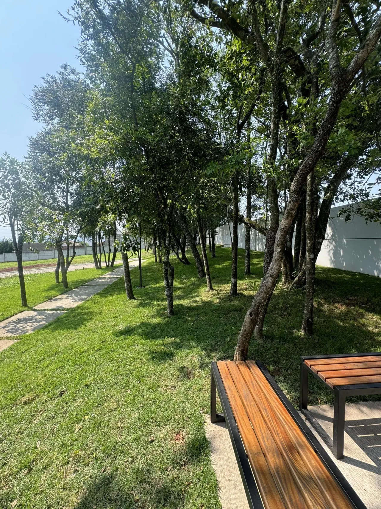 Terreno, foto 1