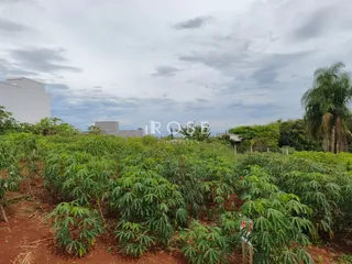 Terreno, foto 4