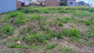 Terreno, foto 3