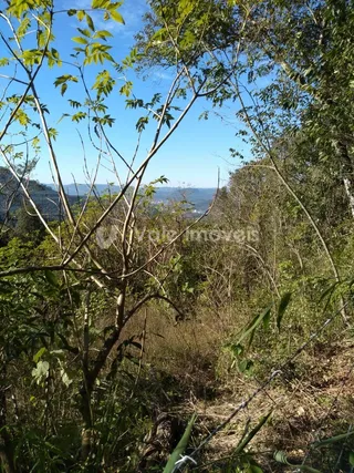 Área rural, foto 7