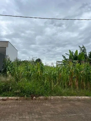 Terreno, foto 3