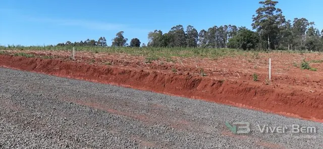 Terreno, foto 2