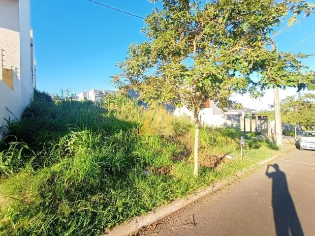 Terreno, foto 2