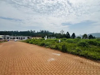 Vista da propriedade com estrada de terra e vegetação ao fundo.