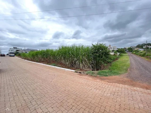 Terreno, foto 2