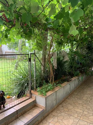 Casa com 3 dormitórios, foto 9