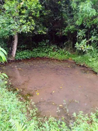 Área rural, foto 2