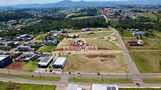Terreno, foto 12