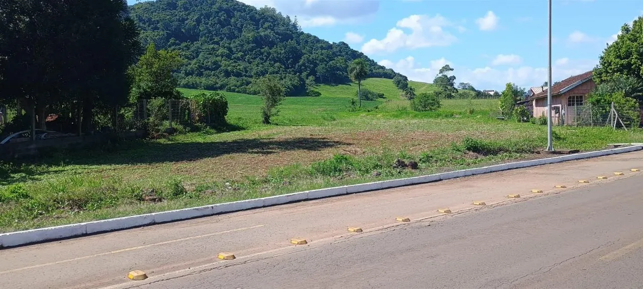 Terreno, foto 1