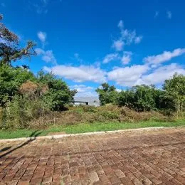 Terreno, foto 3