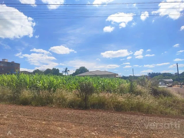 Terreno, foto 3