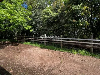 Terreno, foto 11