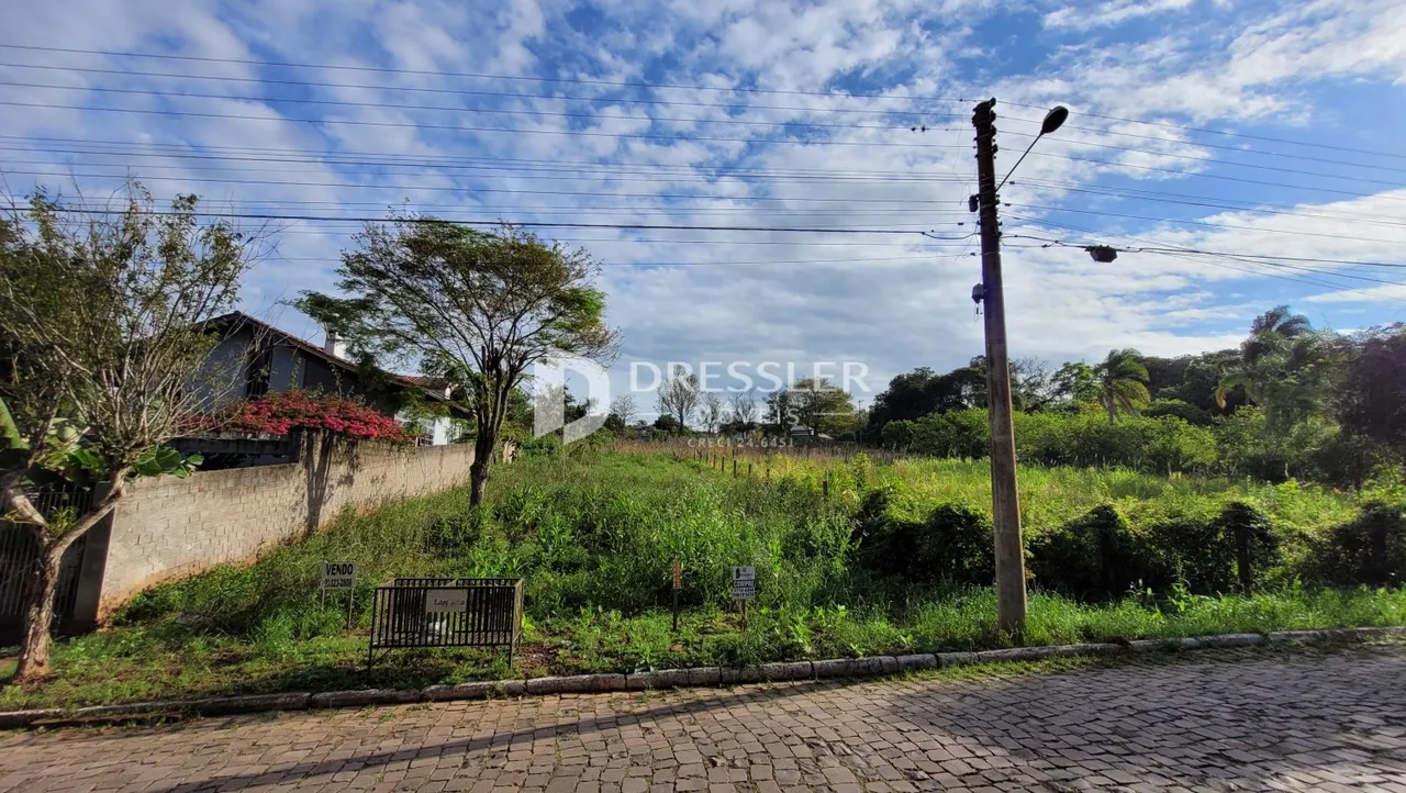 Terreno, foto 1
