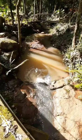 Uma paisagem de riacho com cachoeira em uma área arborizada.