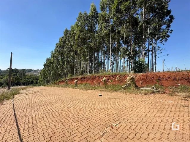 Terreno, foto 4