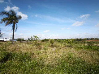 Terreno, foto 7