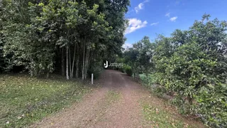 Área rural com 4 dormitórios, foto 6