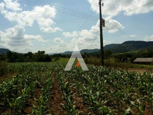 Área rural, foto 3