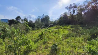 Paisagem externa com vegetação densa e grama alta em uma área verde.