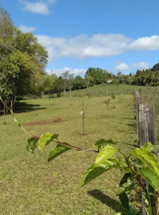 Área rural com 3 dormitórios, foto 8