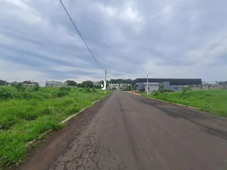 Vista de uma estrada rural com vegetação ao longo do caminho.