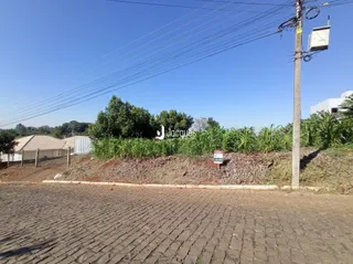 Vista externa de um terreno com vegetação e uma estrada de paralelepípedos.