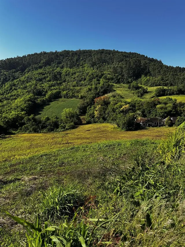 Área rural, foto 4