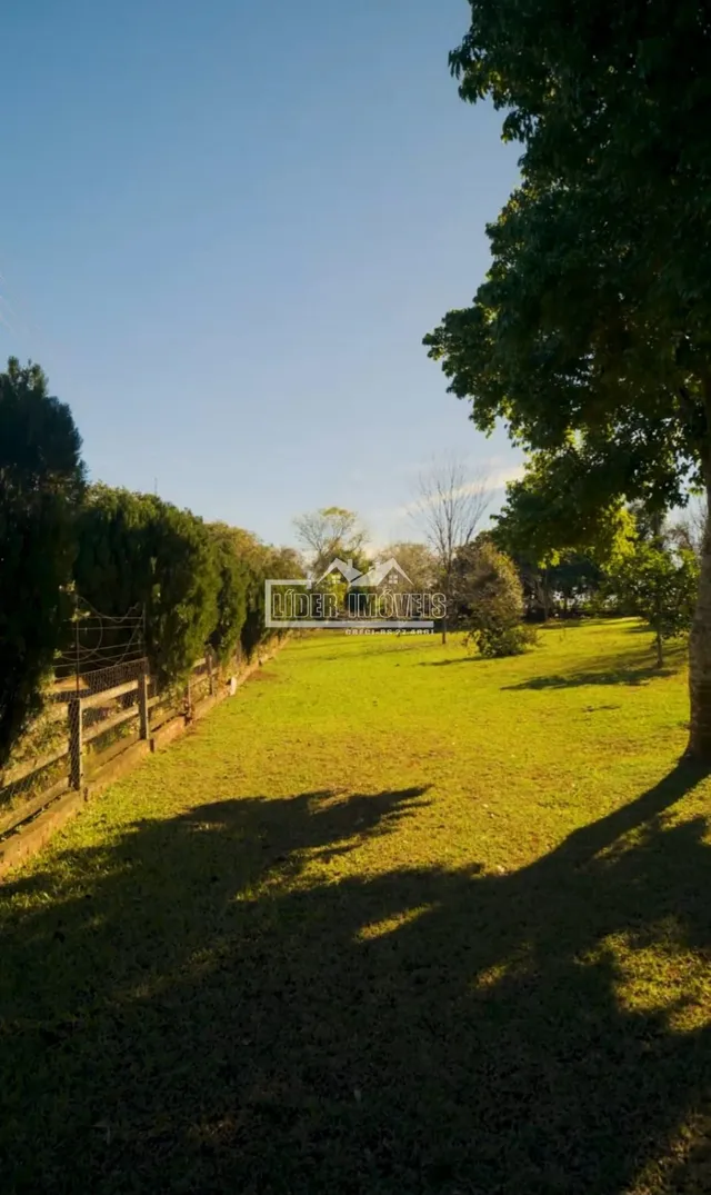 Área rural com 3 dormitórios, foto 2
