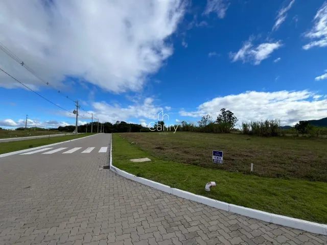 Terreno, foto 3