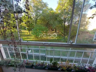 Vista de árvores e gramado através de uma janela de uma propriedade.