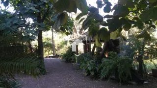 Área rural com 2 dormitórios, foto 10