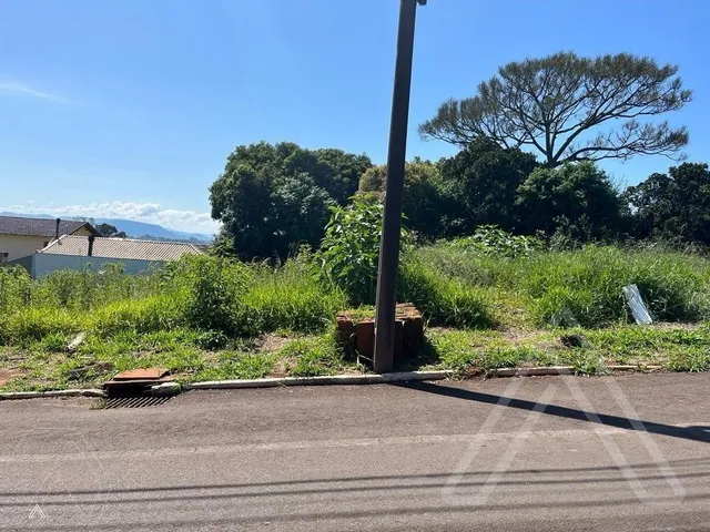 Terreno