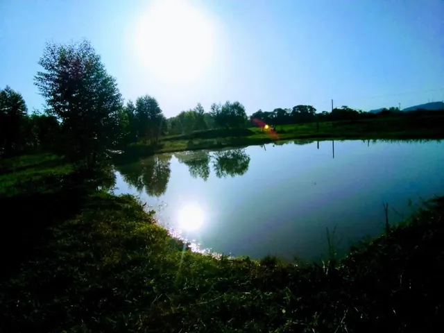 Área rural
