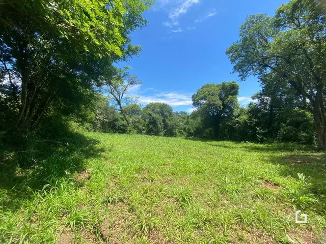 Paisagem de campo verde com árvores e céu azul.