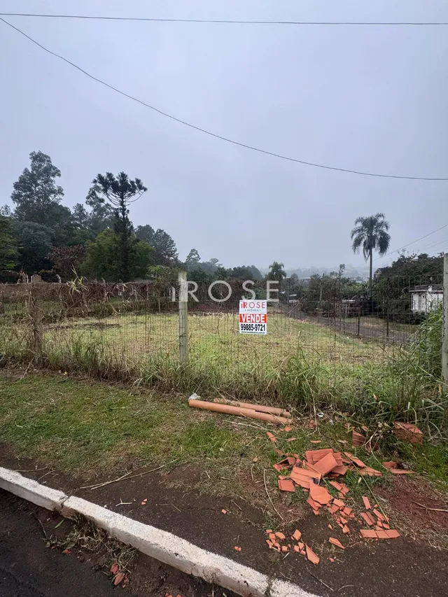 Terreno, foto 2