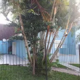 Vista externa de uma propriedade com vegetação e cerca de metal.