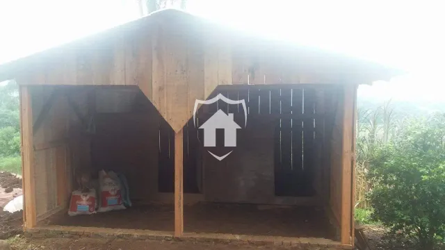 Área rural com 3 dormitórios, foto 4
