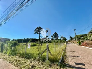 Terreno, foto 2